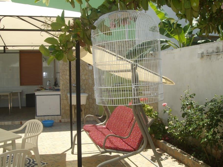 Villa Villino Claudia Porto Cesareo Esterno foto