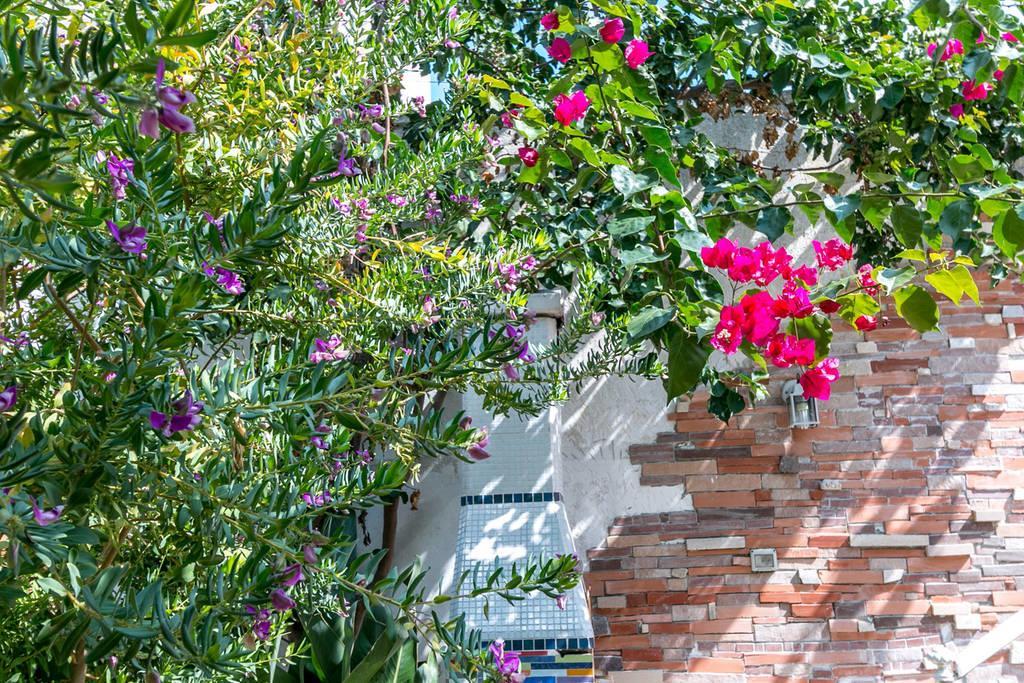 Villa Villino Claudia Porto Cesareo Esterno foto